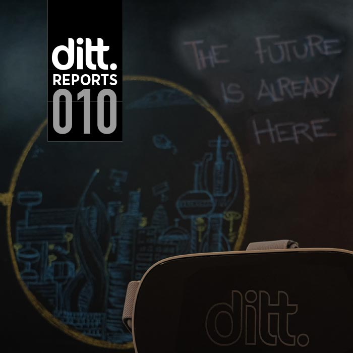 Ditt Report 010