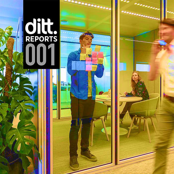 Ditt Report 001