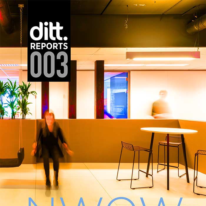 Ditt Report 003