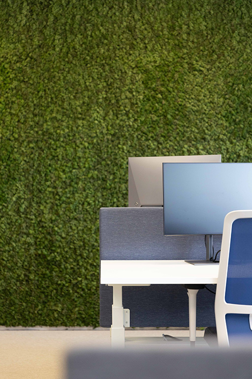 RWE - Geertruidenberg lr -_-61