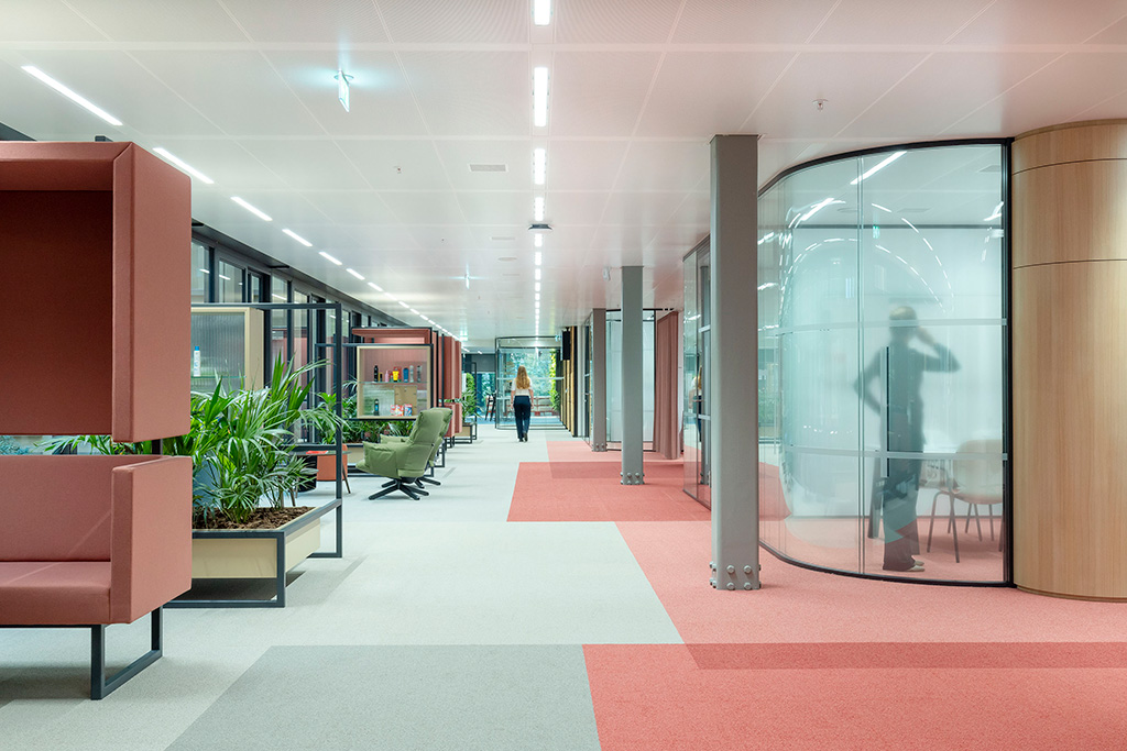 241018_MG_5301_Lucasvanderwee - LR