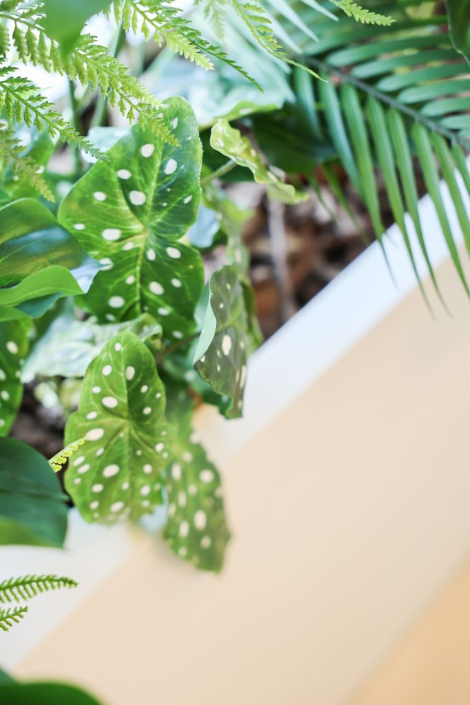 The Next Moove lr -_-25-min