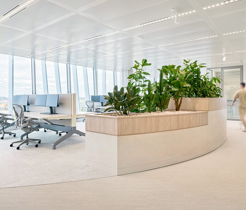 Kantoor inrichten met planten